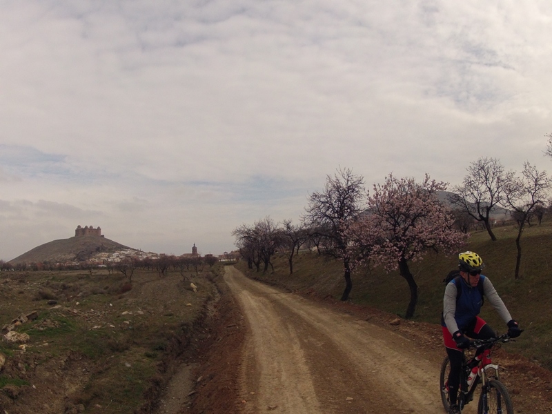 Marquesado del Zenete 2