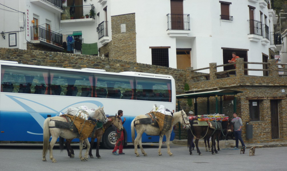 Convocatoria Alta Ruta Invernal 2015