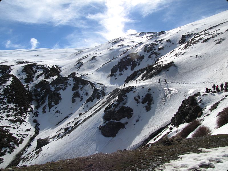 Éxito en el segundo intento al Caballo.