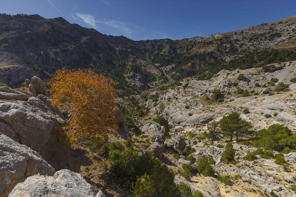 Cerrada de la Magdalena