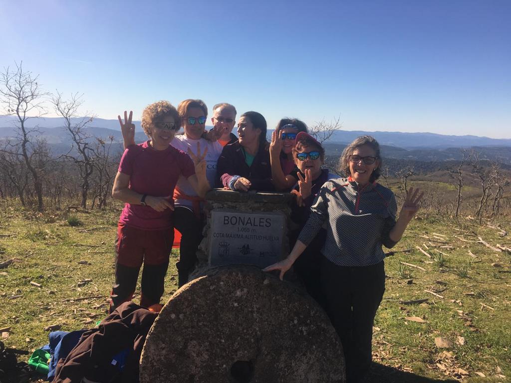 TECHOS DE ANDALUCÍA (BONALES)