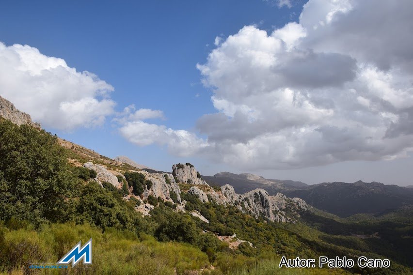 SENDERISMO: El Majalijar 2022