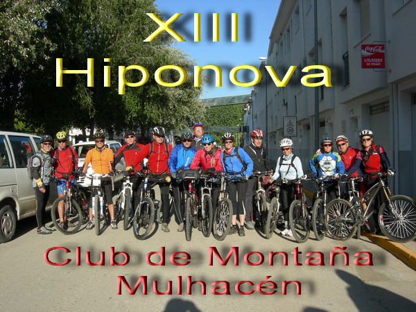 XIII Hiponova